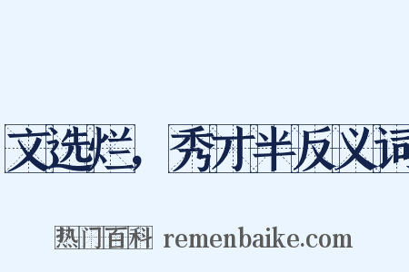 文选烂，秀才半反义词是什么意思的图片